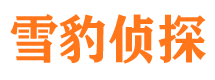 龙华市侦探公司